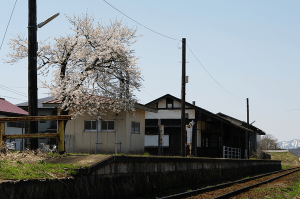 西大塚駅の桜