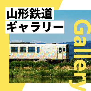 写真ギャラリー