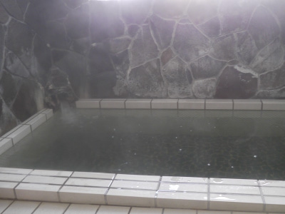 黒鴨温泉 滝の湯旅館